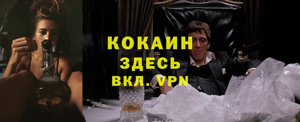 ALPHA PVP Корсаков
