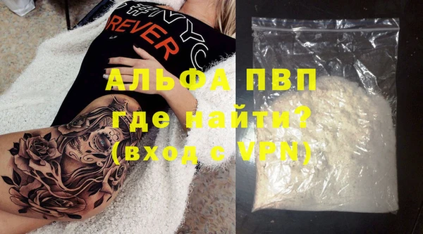 трава Коряжма