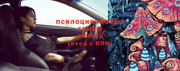 ешки Краснослободск