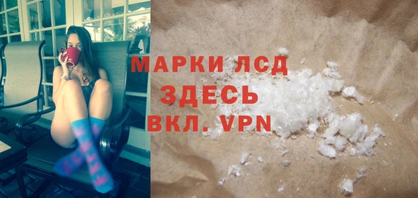 трава Коряжма