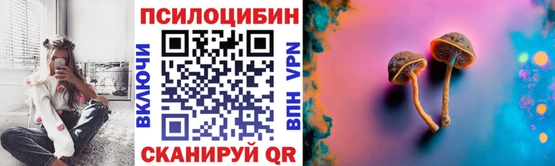 blacksprut вход  Томари  Псилоцибиновые грибы мицелий 